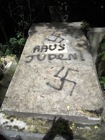 “German Intelligence Issues Taboo-Breaking Report on Muslim Antisemitism”
