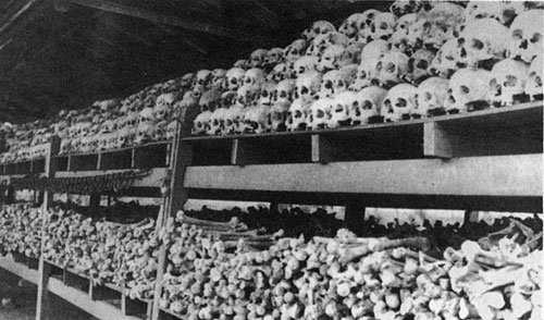 Bones of victims of the Communist genocide in Cambodia, unearthed from a mass grave near Phnom Penh.  During 1976, the New York Times ran sixty-six human rights stories about Chile, but only four about Cambodia. 