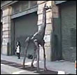 Inflatable Air Giraffe on the Streets of New York City