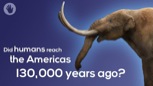 People likely did not reach the Americas 130,000 years ago as is sometimes claimed