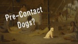 “What Happened to the Pre-Contact Dogs?”