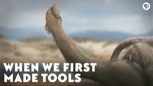 “When We First Made Tools”